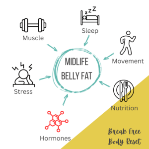 Is it hormones? Is it hormones? Diagram showing possible reasons for weight gain after 40