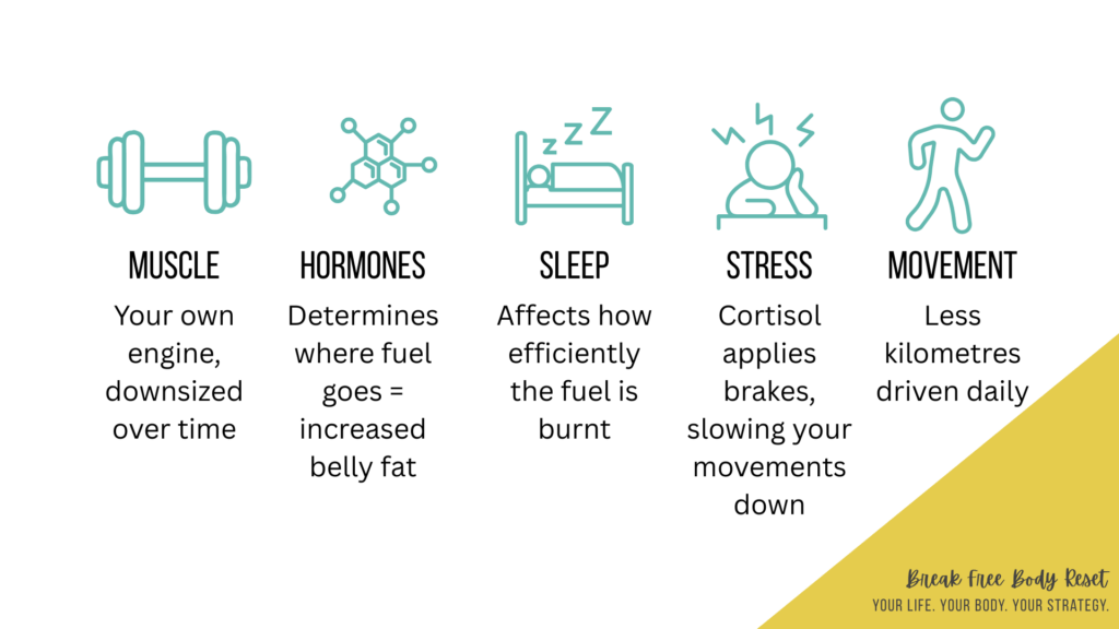 diagram of 5 reasons weight loss is harder after 45: muscle, hormones, sleep, stress, activity