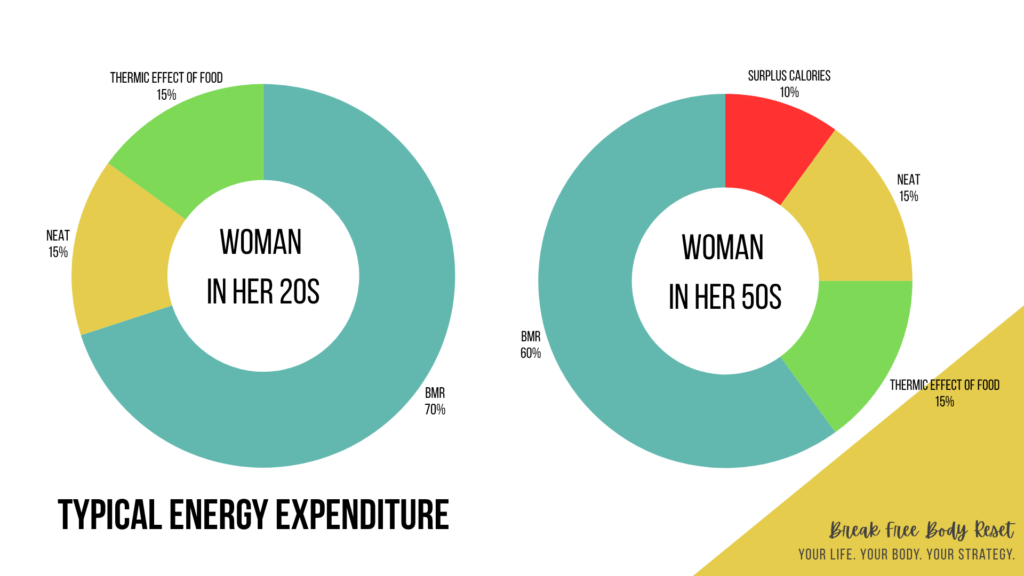 Diagram showing women energy expenditure